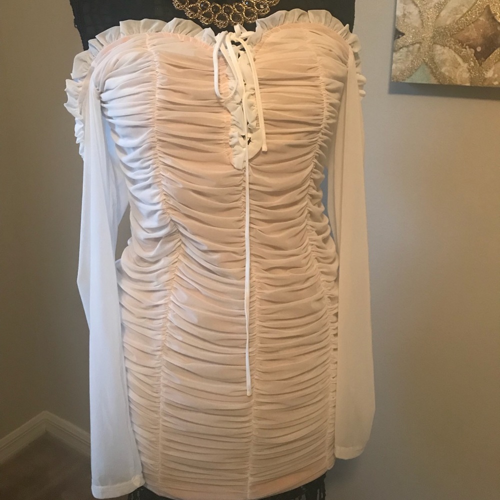 Fashionnova Curve Ruched Mesh Dress - Picture 5 of 8